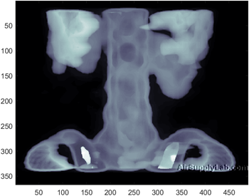 spine colormap bone